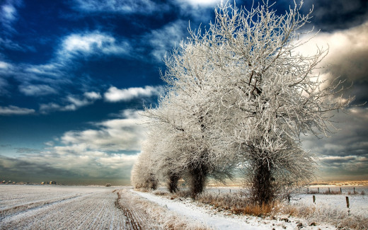 543583 (a): :2560x1600